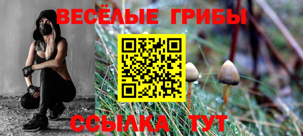 Кемерово  Галлюциногенные грибы Psilocybine cubensis  Вход с VPN 