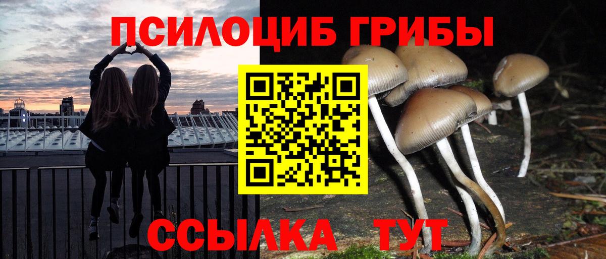 Галлюциногенные грибы ЛСД Кемерово